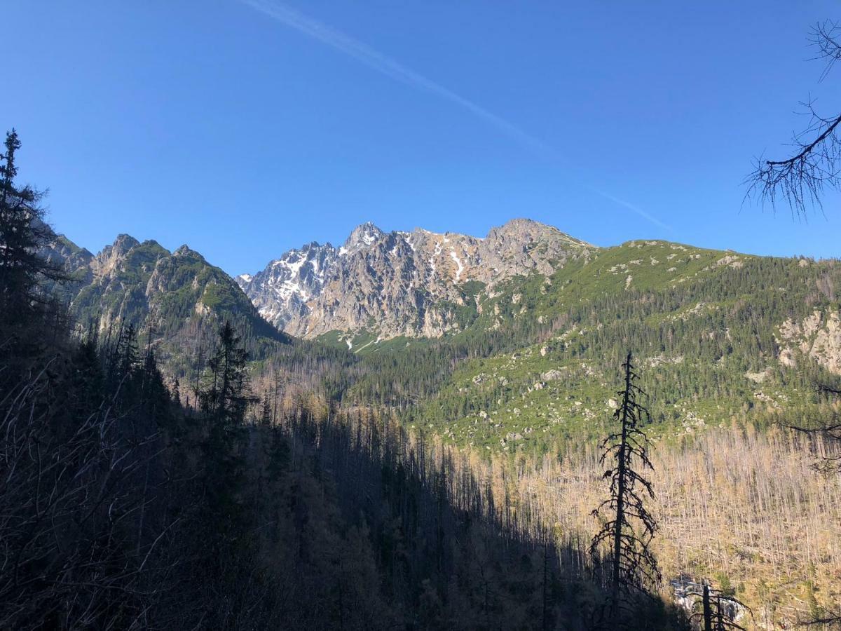 Vila Horec, Vysne Hagy Vysoké Tatry Dış mekan fotoğraf
